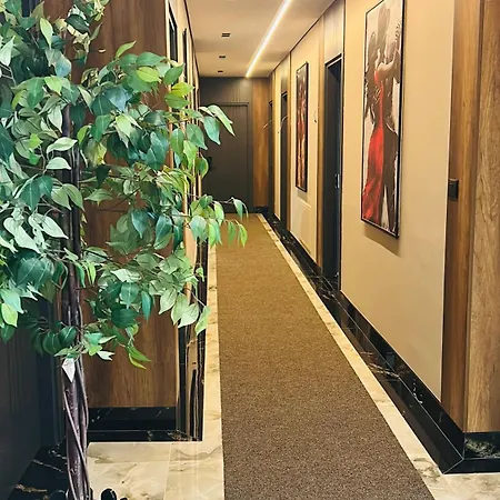 Shopi 엘바산